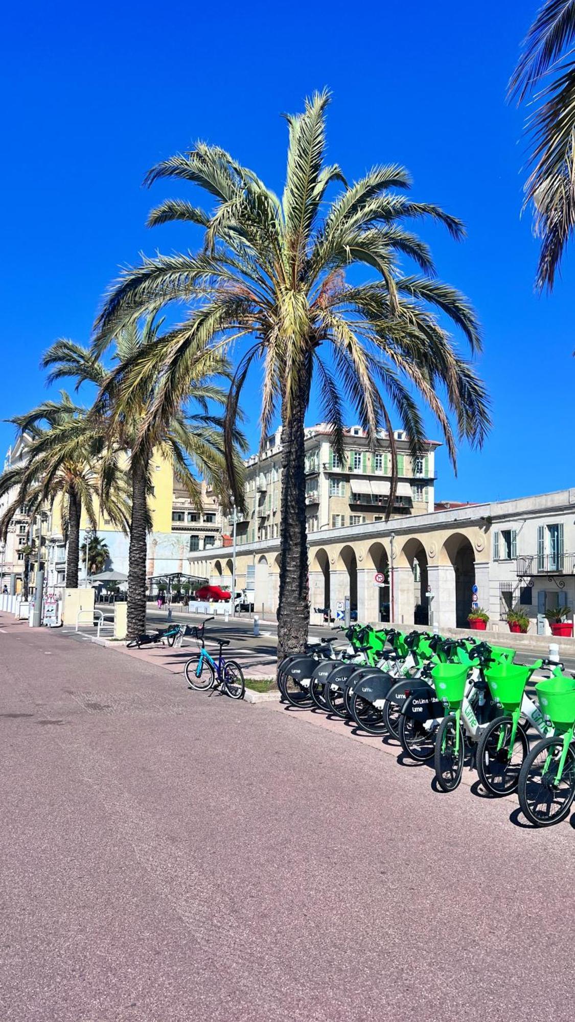 Apartamento L'Azur Plaisance Niza Exterior foto
